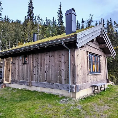 Liaplassen Mountain - *