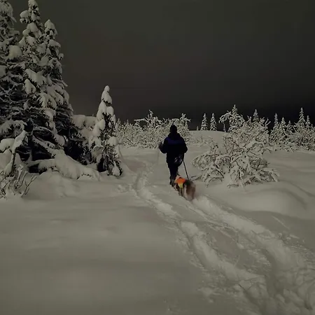 Liaplassen Mountain -