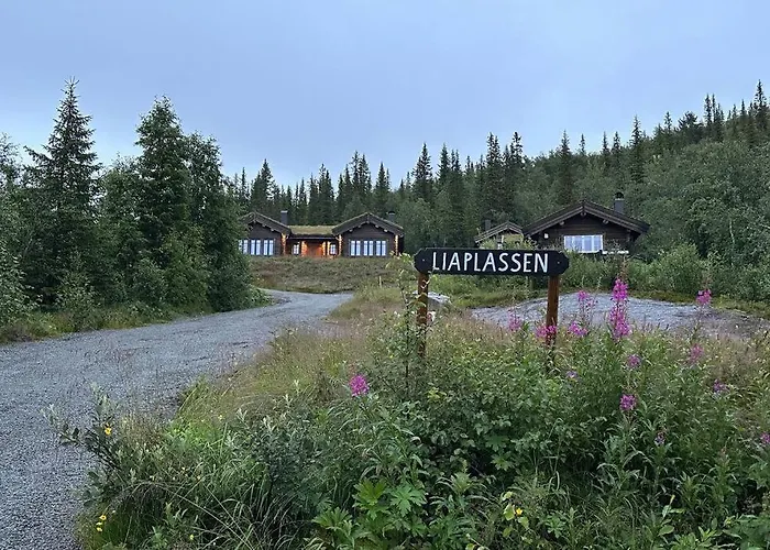 Liaplassen Mountain - 펜션 Beitostolen