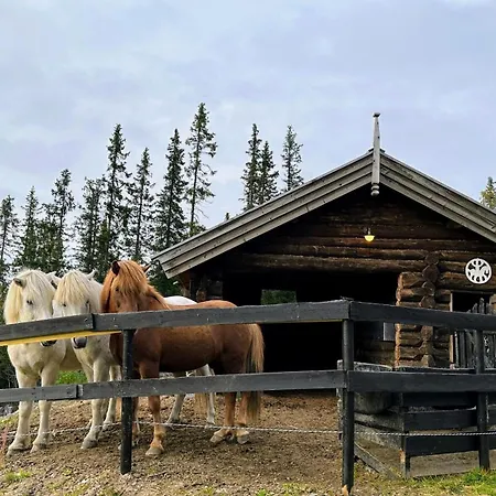 Liaplassen Mountain - Semesterbostad *